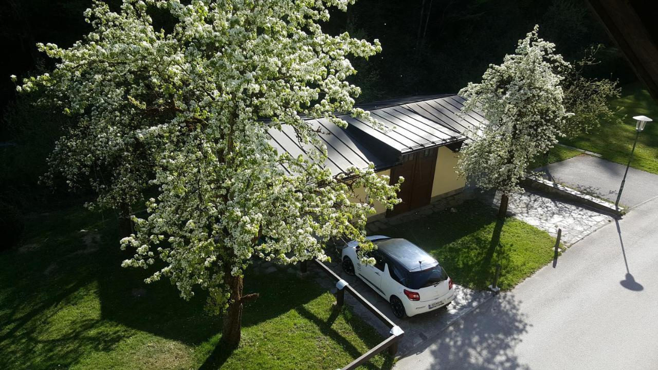 Apartamento Imlau 51 Exterior foto